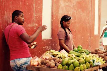 Havana Market