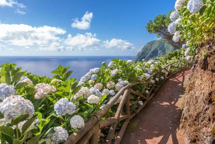 A coastal path in the Azores