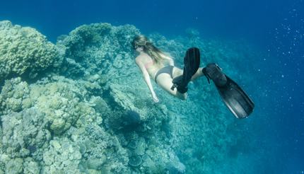 woman free diving in the Bahamas