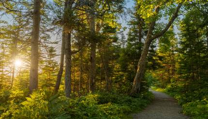 Cape Breton National Park