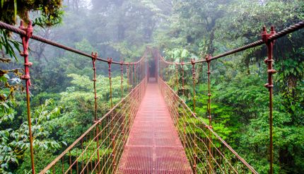 shu-costa-rica-monteverde-257399221-430x246