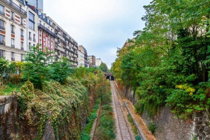 A section of La Petite Ceinture