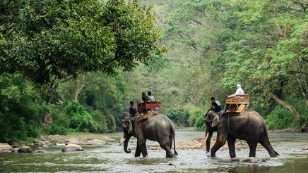 shu-gen-elephant-trekking-250362976-436x246