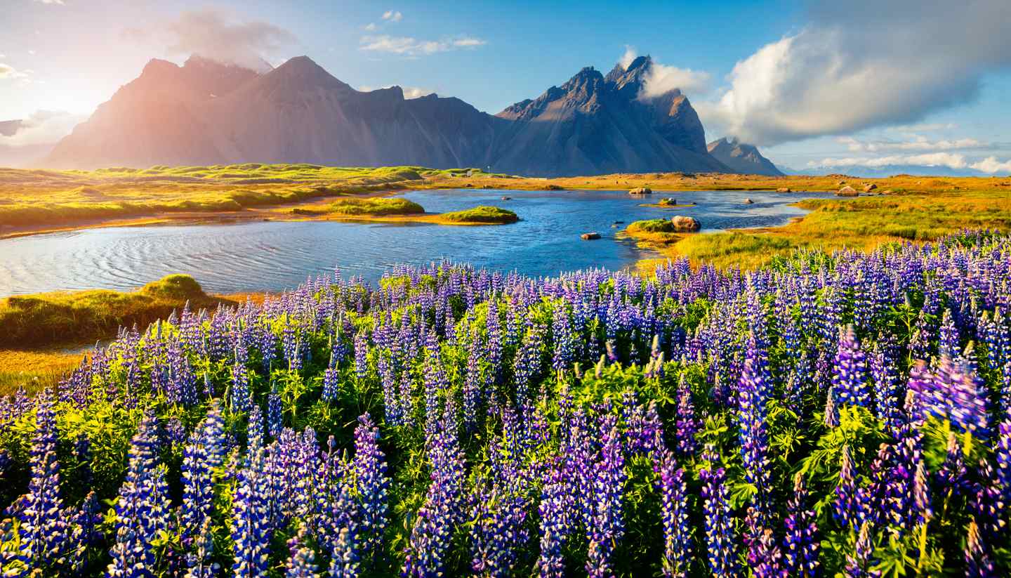 Iceland - Stokksnes, Iceland