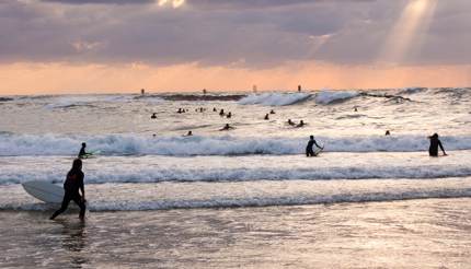 Surfers at sea in Jaffa