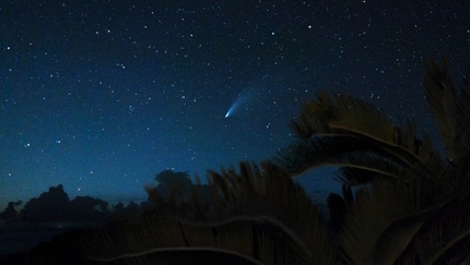 A night view in Iriomote-Ishigaki National Park