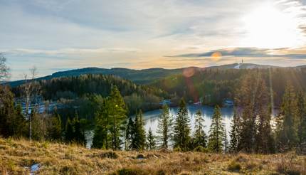 Nordmarka Forest