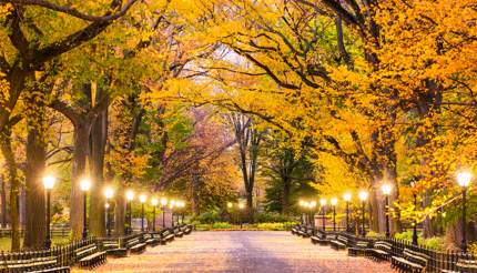 Central Park in autumn