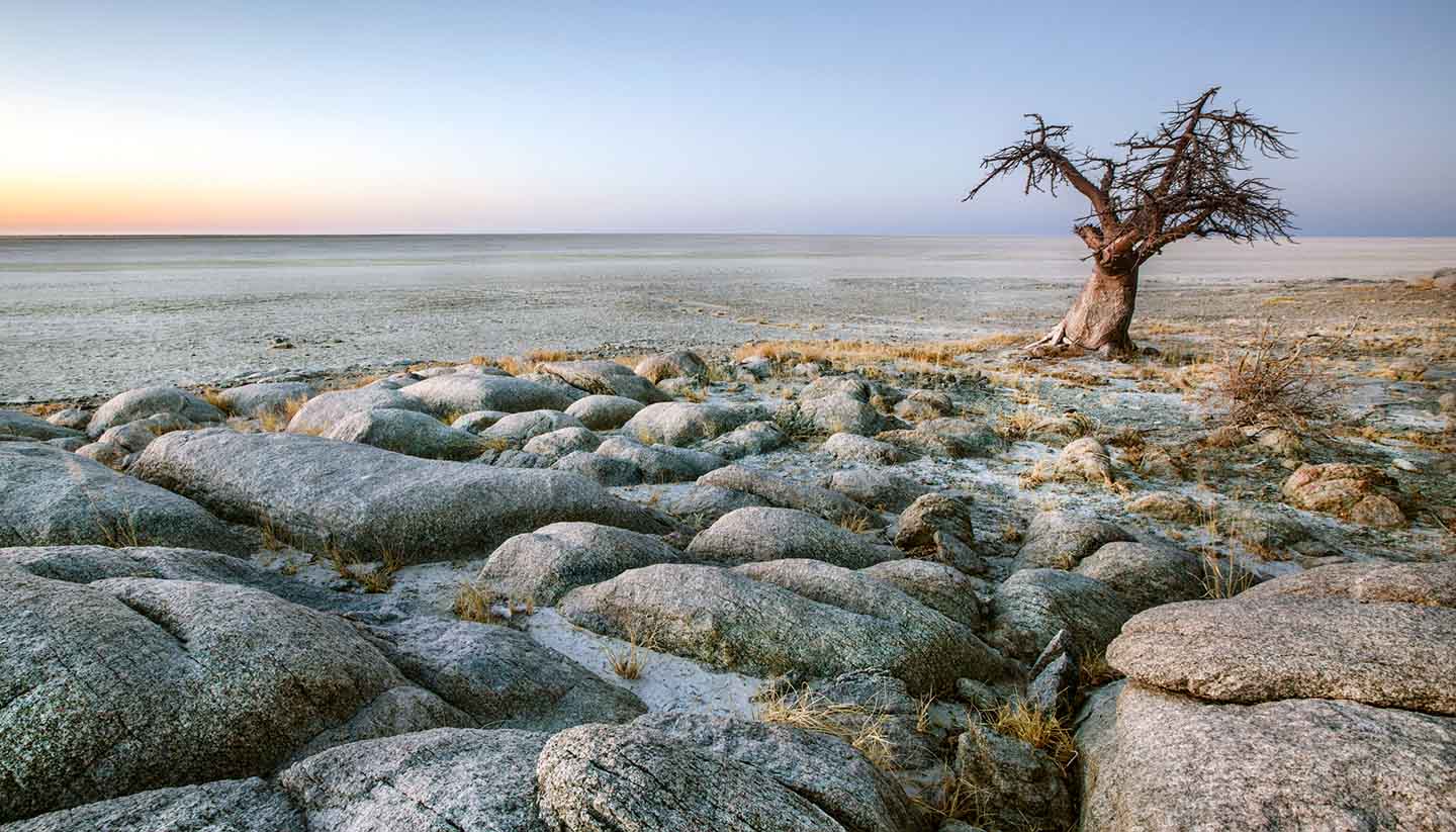 Botswana - MakgadikgadiNP, Botswana