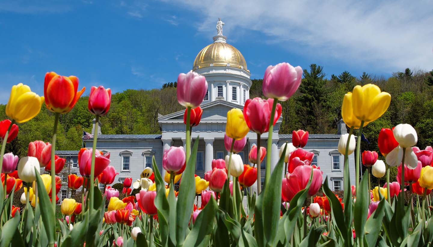 Vermont - Montpelier Capital Building, USA